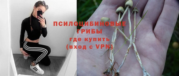 первитин Дмитриев