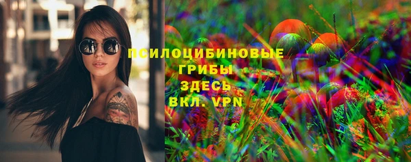 не бодяженный Дмитров
