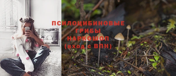 МДМА Гусев