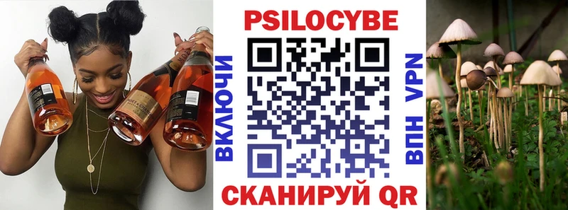 MEGA ссылка Нижняя Салда Галлюциногенные грибы Psilocybe